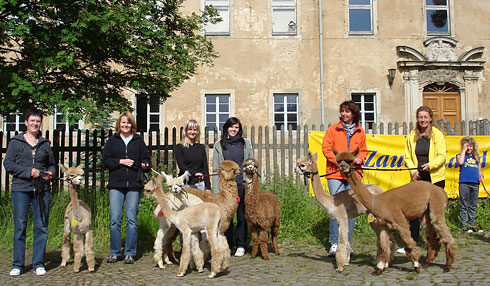 Alpakas vor dem Schloss Wiederoda