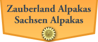 Zauberland Alpakas