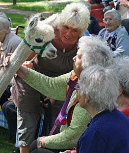 Gruppe bei der Alpakatherapie