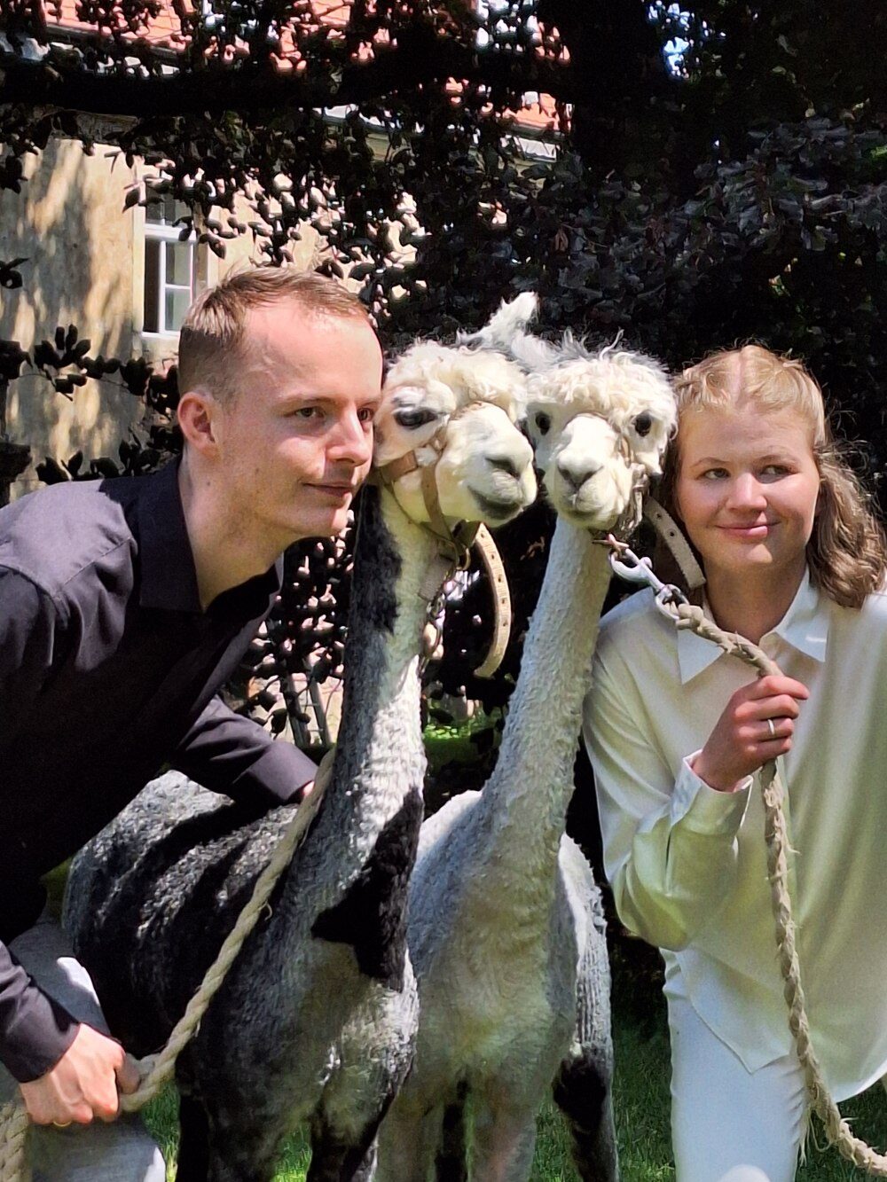 Josie & Jan mit zwei Alpakas als Trauzeugen