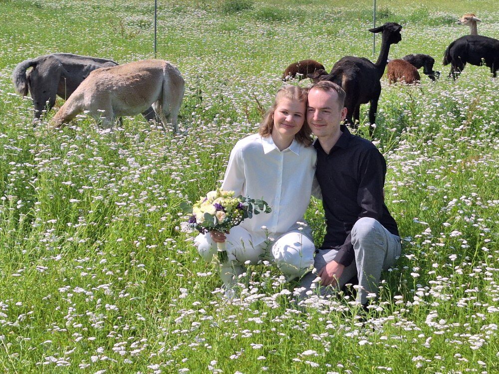 Josie & Jan bei ihrer Trauung mit zwei Alpakas